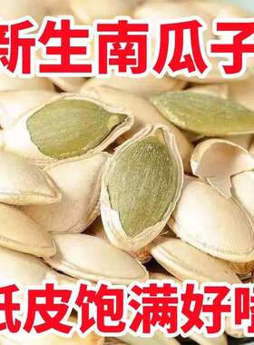 原味生南瓜子新货追剧办公