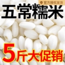 东北批发糯米新米圆糯米5斤包粽子专用白江米酿酒香农家小袋粗粮