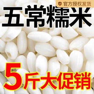 东北批发糯米新米圆糯米5斤包粽子专用白江米酿酒香农家小袋粗粮