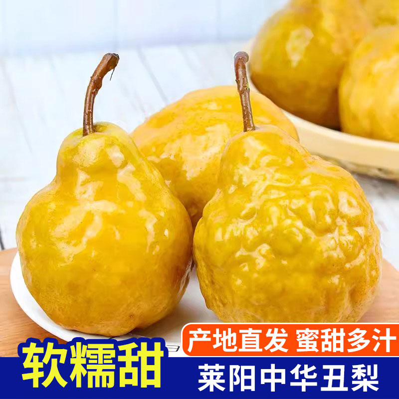 莱阳丑梨中华丑梨太婆蜜梨软梨子核小甜糯多汁整箱