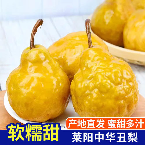 莱阳丑梨中华丑梨太婆蜜梨软梨子核小甜糯多汁整箱