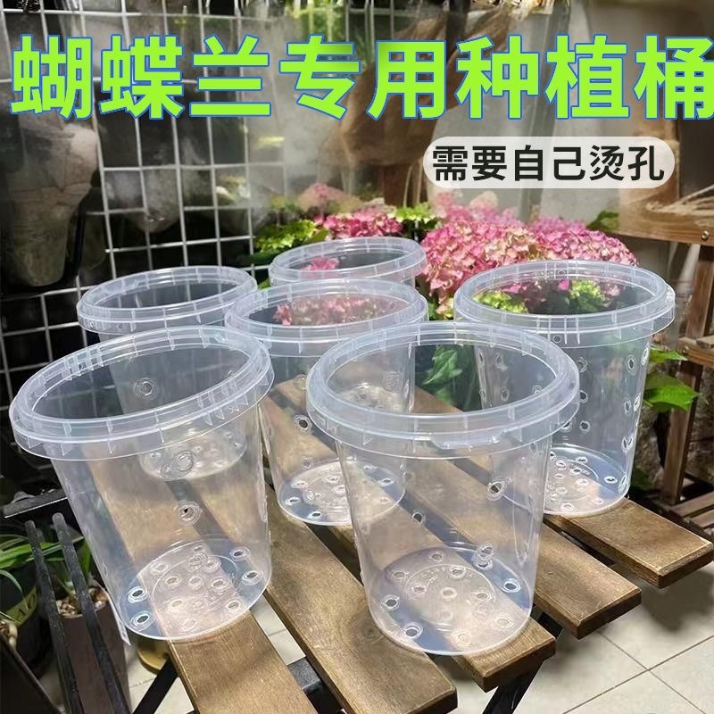 蝴蝶兰1000ml专用种植筒