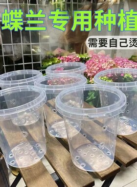蝴蝶兰1000ml专用种植筒