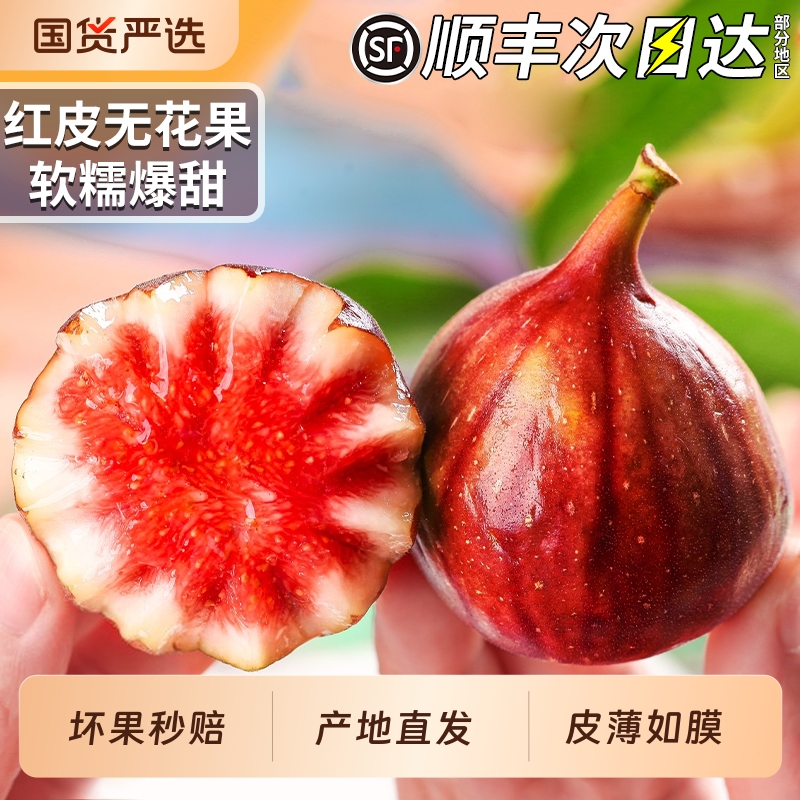 树上熟云南红皮无花果高端品种