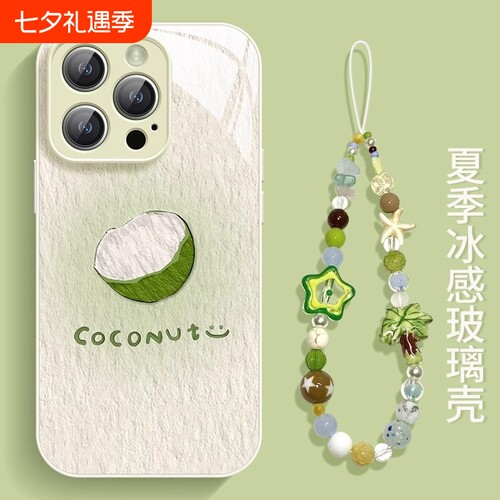 创意防摔个性风油画椰子壳