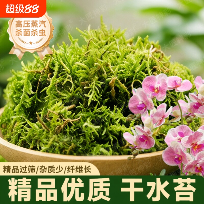 干苔藓水苔蝴蝶兰石斛种植专用营养土天然青苔兰花乌龟垫材植物