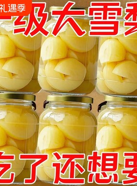 新鲜雪梨罐头冰糖雪梨糖水商用