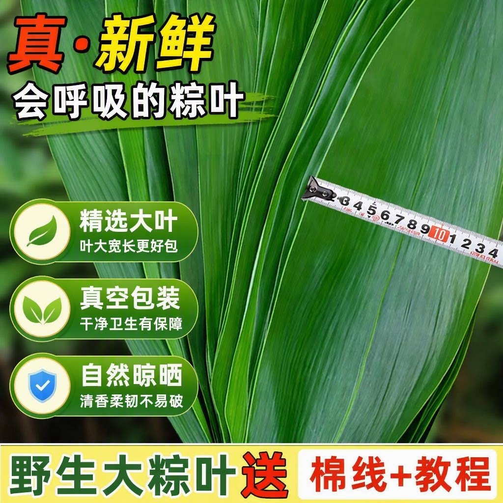 粽叶新鲜粽子叶大号箬叶包粽子的端午干叶子真空商用特大野生大叶