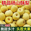 酥脆多汁老树梨子砀山酥梨新鲜农家自种皮薄