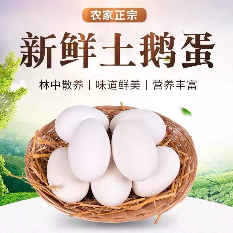 新鲜山东鹅蛋120g*6枚孕妇农家散养土鹅蛋正宗大个初生鹅蛋批发,水产肉类/新鲜蔬果/熟食,鹅蛋,淘宝优惠券,粉丝福利购,淘宝优惠卷