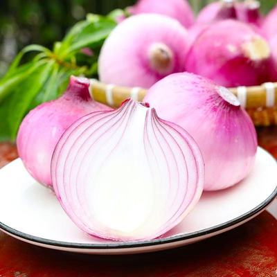 正宗山东金乡紫皮洋葱圆葱葱头新鲜应季蔬菜农家甜可生吃红洋葱头