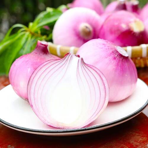 正宗山东金乡紫皮洋葱圆葱葱头新鲜应季蔬菜农家甜种植食用爽口