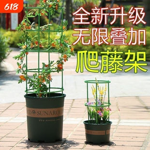 植物爬藤架支架通用型花架园艺拼接兰花莲花花架子支撑杆内防掉