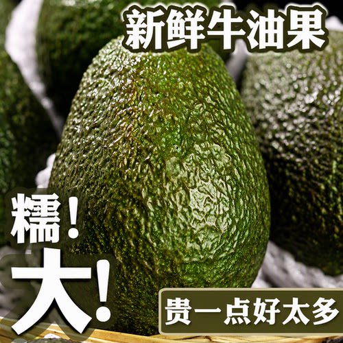 哈斯牛油果新鲜进口水果当季宝宝辅食整箱一级鳄梨孕妇大果包邮