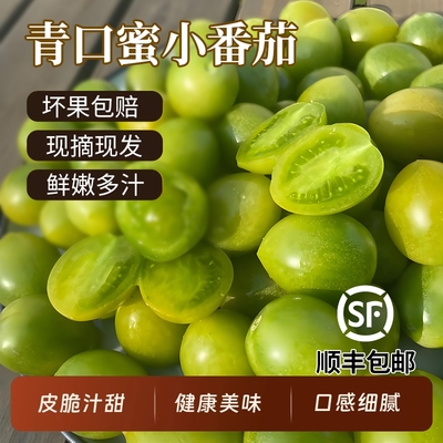 山东青口蜜圣女果绿色青甜2号千禧小番茄新鲜当季水果顺丰包邮
