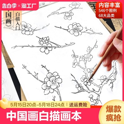 中国画白描画本入门线稿描摹本