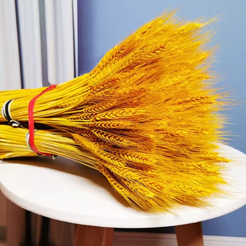 云南特产干丝干货无盐散装金丝农家自制黄丝菜春竹干花