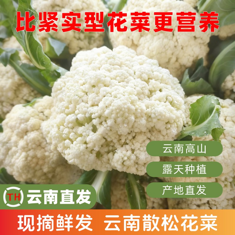 云南松花菜新鲜散花菜3斤/5斤/9斤花椰菜农家蔬菜整箱现砍鲜发