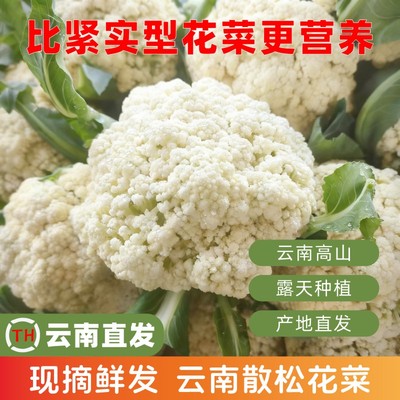 云南松花菜新鲜散花菜3斤/5斤/9斤花椰菜农家蔬菜整箱现砍鲜发
