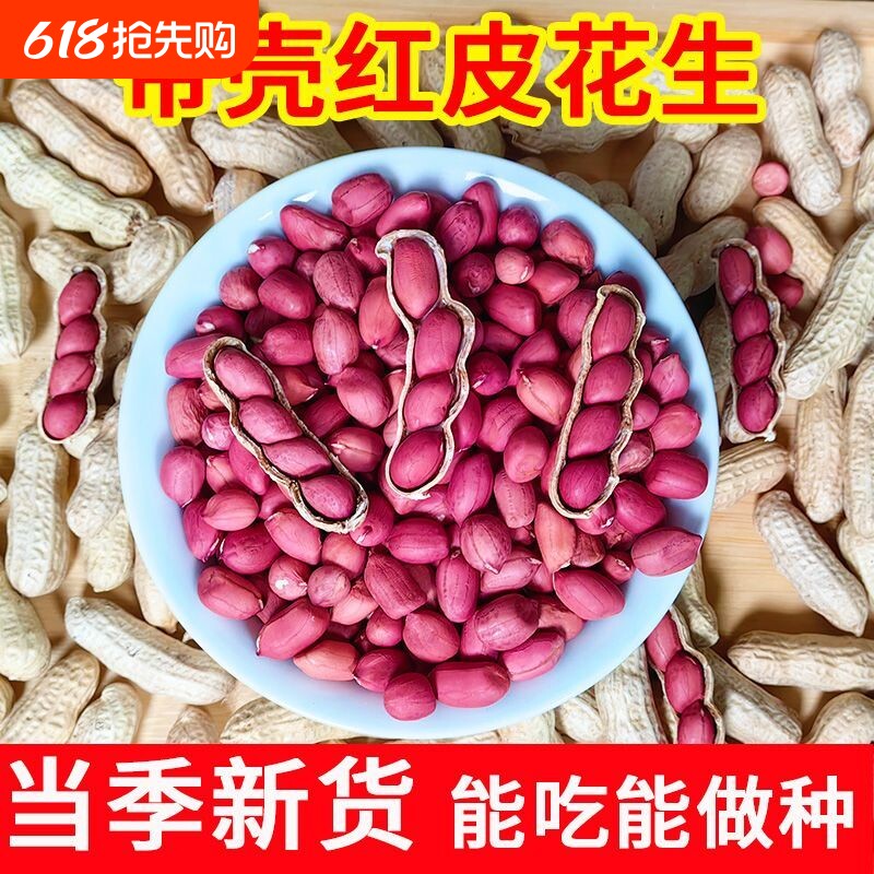 2025年新鲜农家自种红皮生花生带壳晒干生花生米生新货四粒红袋装
