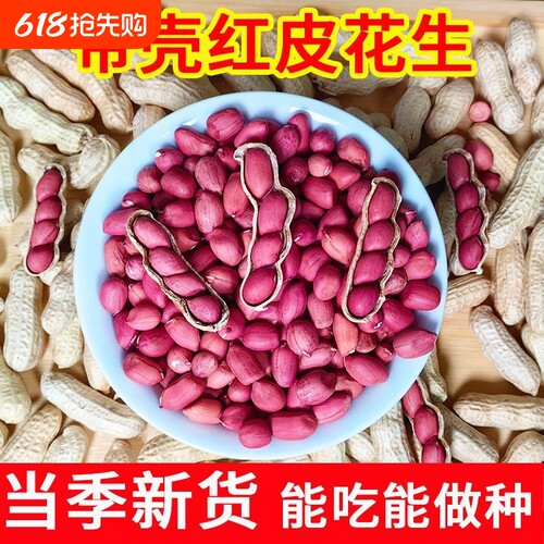 2025年新鲜农家自种红皮生花生带壳晒干生花生米生新货四粒红袋装