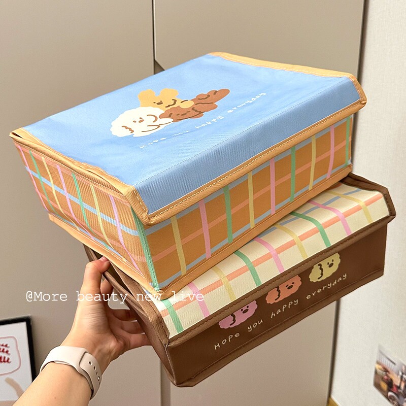 内衣内裤收纳盒放袜子文胸贴身衣物三合一分格整理神器家用抽屉式