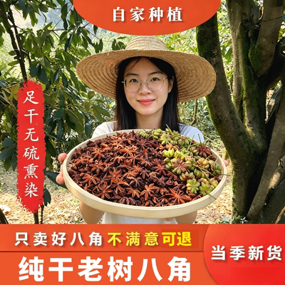 广西大红八角大料大茴香桂皮香叶调料香料批发厨房优质无硫家用