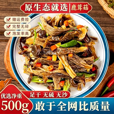 鹿茸菇干货特级500g鹿茸菌菇批发鹿耳菇煲汤新鲜精品火锅食用新货