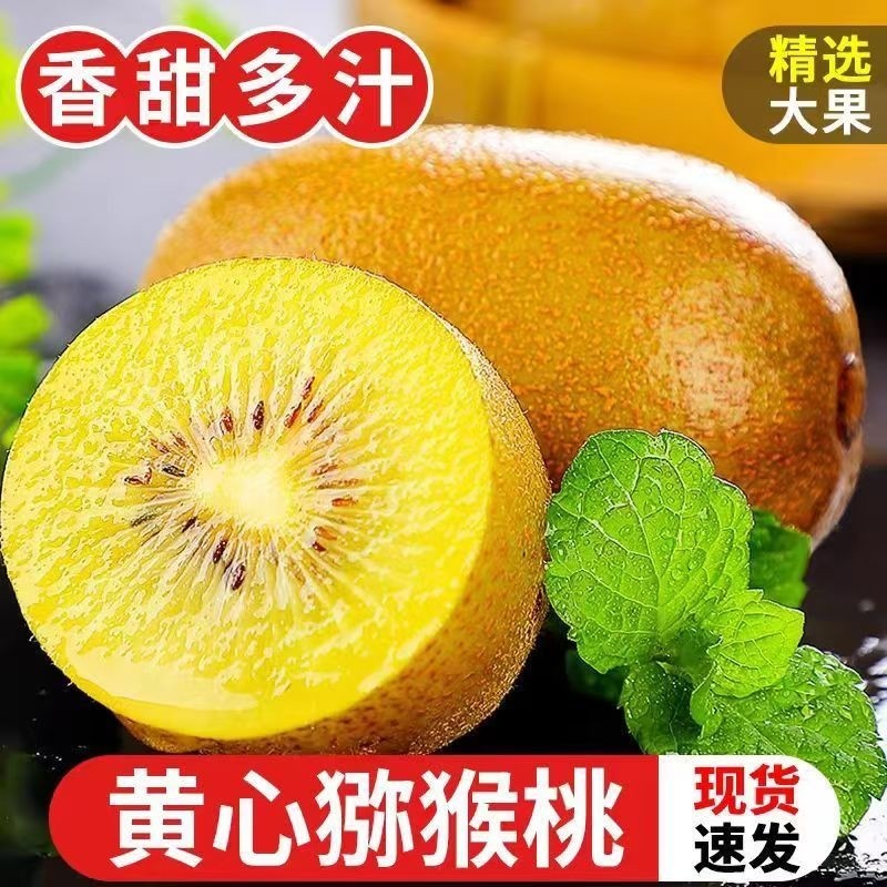 【热销】黄心猕猴桃奇异果应季水果新鲜阳光金果河南自然生长金桃,水产肉类/新鲜蔬果/熟食,奇异果/猕猴桃,淘宝优惠券,粉丝福利购,淘宝优惠卷