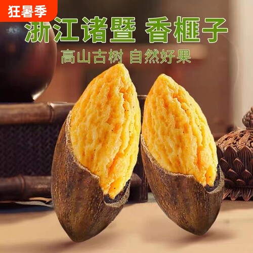 现炒新货香榧子诸暨枫桥香榧特产净重500克坚果干果果仁罐装原产