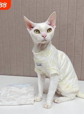 咔啦咪无毛德文猫衣服高