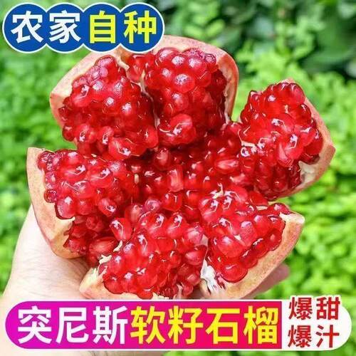 正宗突尼斯软籽石榴新鲜水果当季现摘整箱四川会理无籽石榴特大果