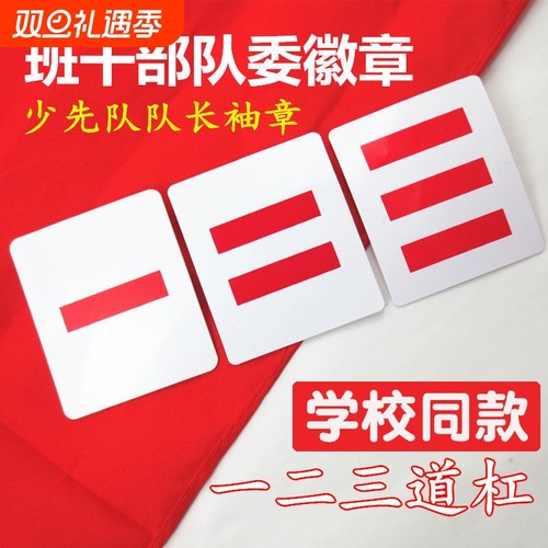 小学生班干部标志队长袖标臂章