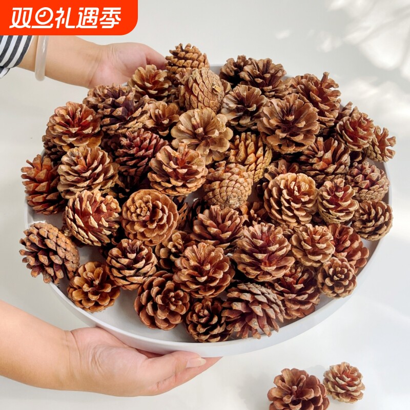 松果球天然松塔装饰diy材料摆件幼儿园创意手工自然材料大号松树