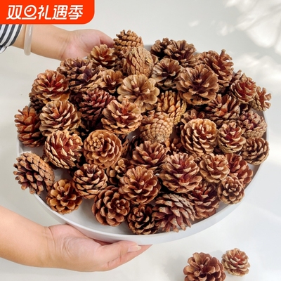 松果球天然松塔装饰diy材料摆件幼儿园创意手工自然材料大号松树
