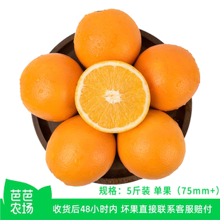 【芭芭农场】赣南脐橙5斤果径75mm+
