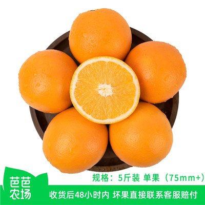 江西赣南脐橙5斤甜橙子