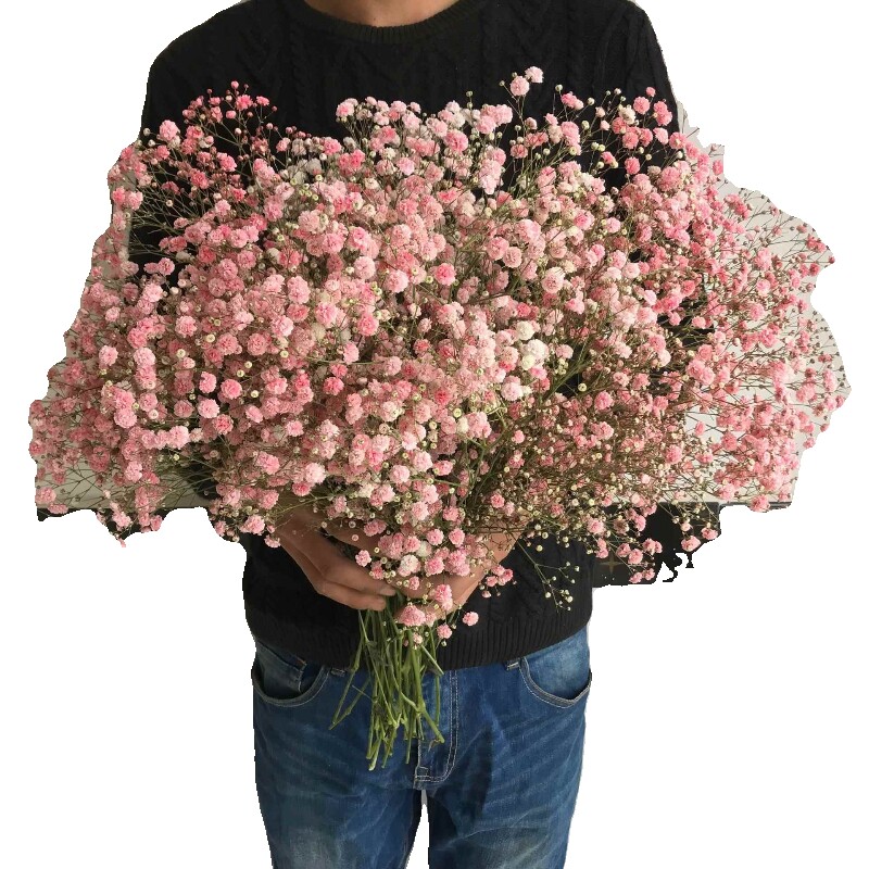 满天星勿忘我干花花束家居摆设客厅装饰摆件永生花鲜花情人节大束 - 实物图