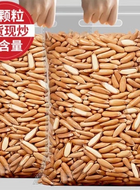 手剥松子长粒500g新货2026旗舰店特年货大颗粒零食阿富坚果好吃的