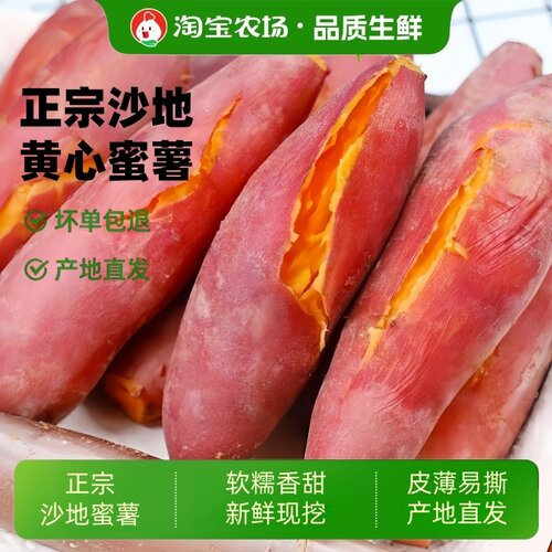 沙地蜜薯黄心红薯新鲜现挖