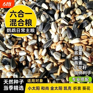 小太阳专用鸟粮和尚鸟饲料营养鸟食种子粮混合粮粮食八哥荞麦燕麦