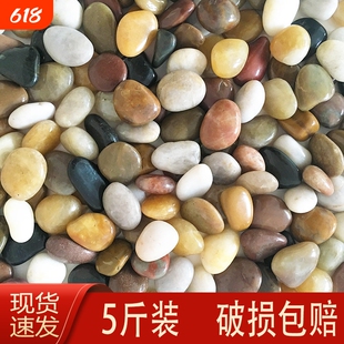 天然鹅卵石雨花石原石鱼缸花盆装饰造景养花五彩色小石头水培石子