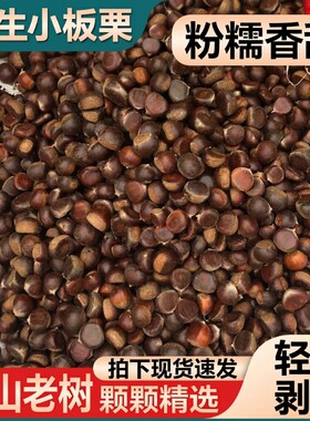 正宗迁西小板栗野生小毛栗炒板栗小油栗子好去皮软糯香甜燕山板栗