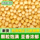 2斤非转基因黄豆农家自种大豆笨黄豆土黄豆豆浆原料材料新货杂粮