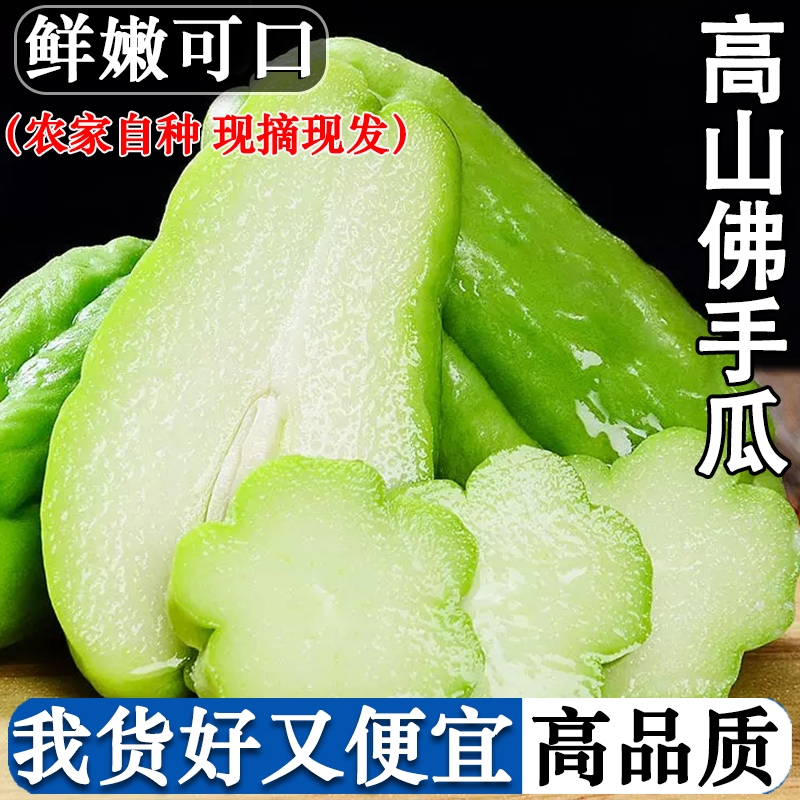 新鲜佛手瓜现摘洋丝瓜窝瓜捧瓜丰收福寿农家自种当季蔬菜包邮批发