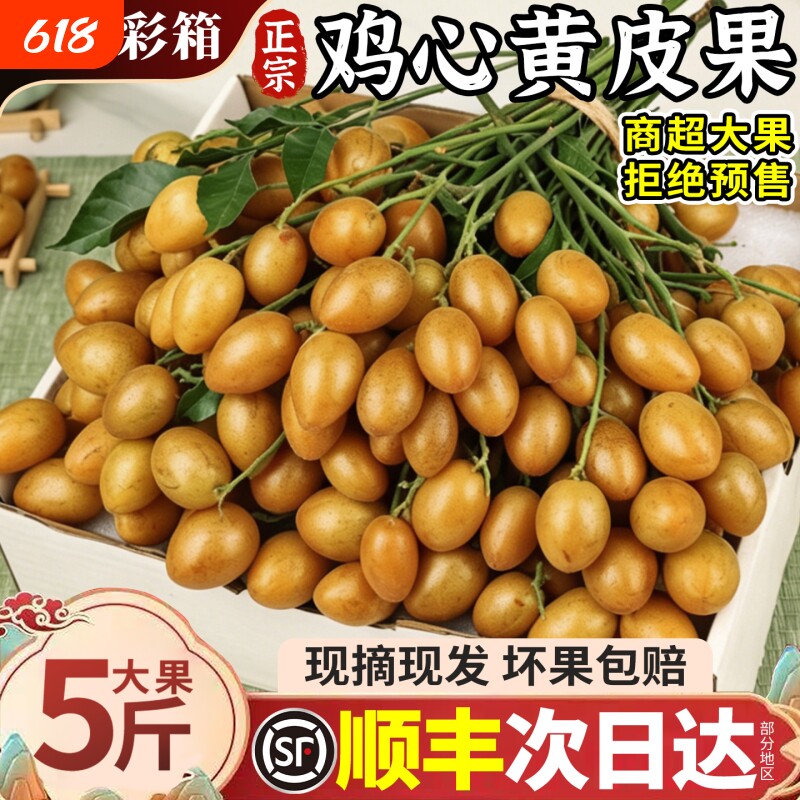顺丰正宗鸡心黄皮果新鲜孕妇水果奶茶黑金刚黄皮整箱现摘大果包邮