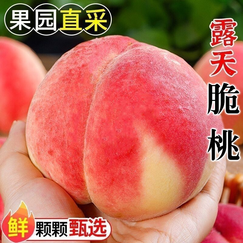红不软脆蜜桃4.5斤 13元 - 86线报