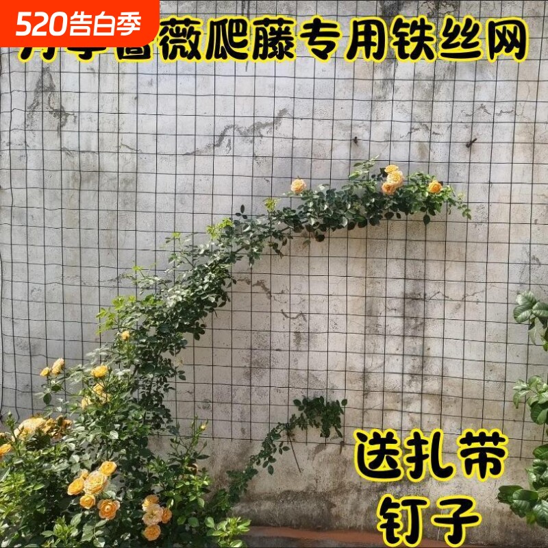 爬墙网月季花爬藤上墙网架蔷薇花架爬藤专用铁丝网铁线莲上墙网架