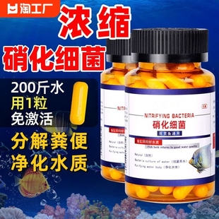 硝化细菌鱼缸专用胶囊净水活菌干粉养鱼水族消化浓缩亚甲基