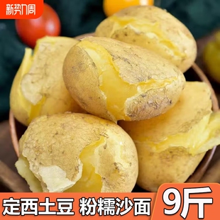 正宗甘肃定西沙面土豆新鲜黄心马铃薯蔬菜洋芋旱现挖9斤开花自种